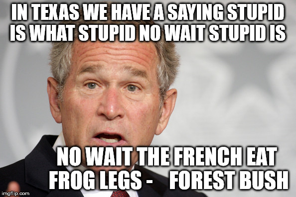 in texas we have a saying | IN TEXAS WE HAVE A SAYING STUPID IS WHAT STUPID NO WAIT STUPID IS; NO WAIT THE FRENCH EAT FROG LEGS -   
FOREST BUSH | image tagged in george w bush,texas,misquote | made w/ Imgflip meme maker