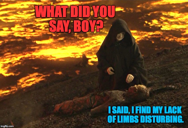 WHAT DID YOU SAY, BOY? I SAID, I FIND MY LACK OF LIMBS DISTURBING. | made w/ Imgflip meme maker