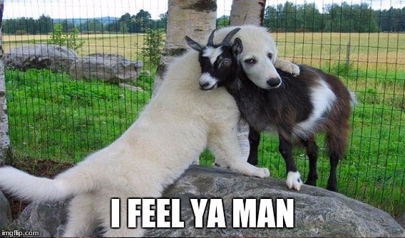 I FEEL YA MAN | made w/ Imgflip meme maker