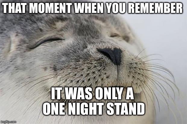 Satisfied Seal | THAT MOMENT WHEN YOU REMEMBER; IT WAS ONLY A ONE NIGHT STAND | image tagged in memes,satisfied seal | made w/ Imgflip meme maker