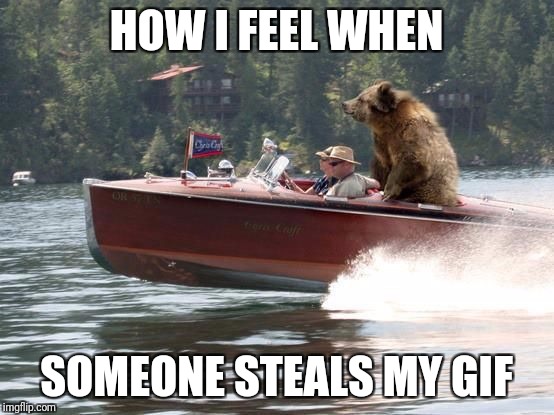 Bear on a boat | HOW I FEEL WHEN SOMEONE STEALS MY GIF | image tagged in bear on a boat | made w/ Imgflip meme maker