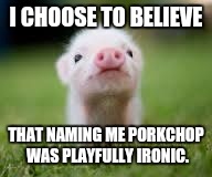 KEEP YOUR CHINNY CHIN CHIN UP LITTLE GUY. :D | I CHOOSE TO BELIEVE; THAT NAMING ME PORKCHOP WAS PLAYFULLY IRONIC. | image tagged in funny,mini pig,animals,humor,food,memes | made w/ Imgflip meme maker