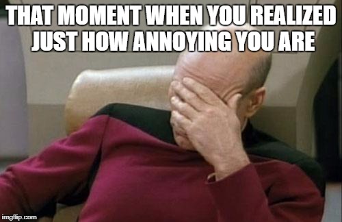 Captain Picard Facepalm | THAT MOMENT WHEN YOU REALIZED JUST HOW ANNOYING YOU ARE | image tagged in memes,captain picard facepalm | made w/ Imgflip meme maker
