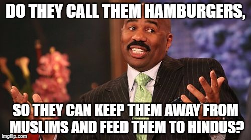 Steve Harvey Meme | DO THEY CALL THEM HAMBURGERS, SO THEY CAN KEEP THEM AWAY FROM MUSLIMS AND FEED THEM TO HINDUS? | image tagged in memes,steve harvey | made w/ Imgflip meme maker