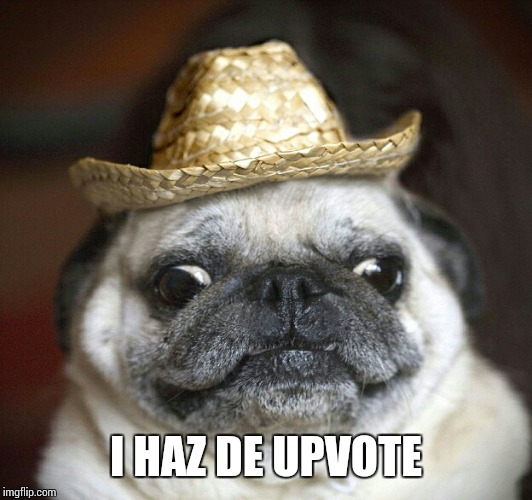 pug life | I HAZ DE UPVOTE | image tagged in pug life | made w/ Imgflip meme maker