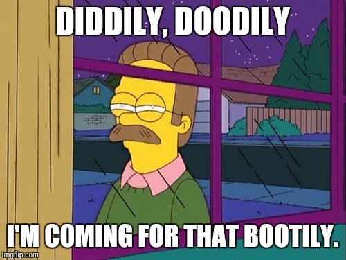 Diddily, Doodily | DIDDILY, DOODILY; I'M COMING FOR THAT BOOTILY. | image tagged in blind ned flanders | made w/ Imgflip meme maker