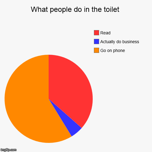 What goes on in the toilet | image tagged in funny,pie charts,toilet humor,toilet | made w/ Imgflip chart maker