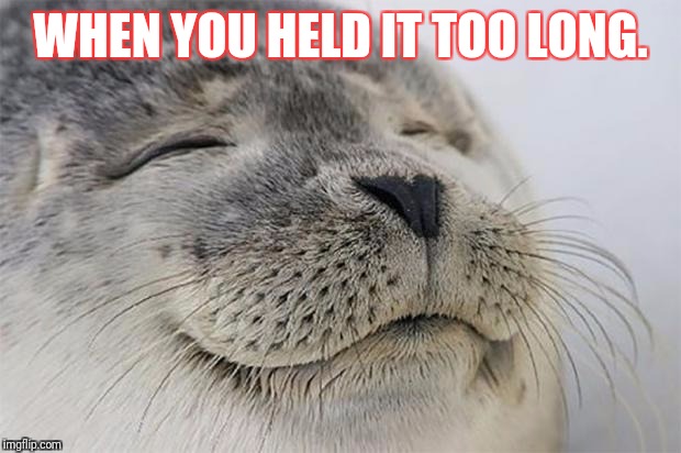 Satisfied Seal Meme | WHEN YOU HELD IT TOO LONG. | image tagged in memes,satisfied seal | made w/ Imgflip meme maker