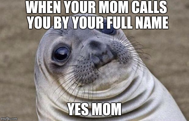 Awkward Moment Sealion Meme | WHEN YOUR MOM CALLS YOU BY YOUR FULL NAME; YES MOM | image tagged in memes,awkward moment sealion | made w/ Imgflip meme maker