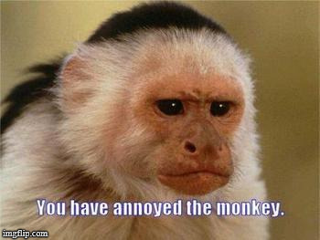 Annoyed monkey | image tagged in annoyed monkey | made w/ Imgflip meme maker