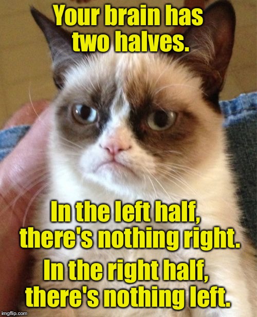 Grumpy Cat Meme | Your brain has two halves. In the left half,  there's nothing right. In the right half, there's nothing left. | image tagged in memes,grumpy cat | made w/ Imgflip meme maker