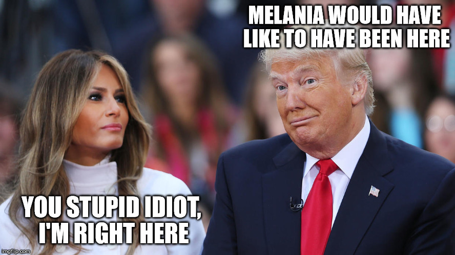 Donald and Melania Trump | MELANIA WOULD HAVE LIKE TO HAVE BEEN HERE; YOU STUPID IDIOT, I'M RIGHT HERE | image tagged in donald and melania trump | made w/ Imgflip meme maker