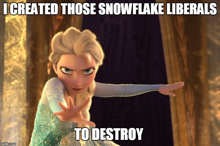I CREATED THOSE SNOWFLAKE LIBERALS TO DESTROY | made w/ Imgflip meme maker