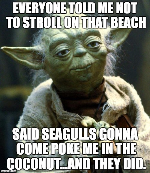 Star Wars Yoda Meme | EVERYONE TOLD ME NOT TO STROLL ON THAT BEACH; SAID SEAGULLS GONNA COME POKE ME IN THE COCONUT...AND THEY DID. | image tagged in memes,star wars yoda | made w/ Imgflip meme maker