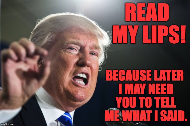 READ MY LIPS! BECAUSE LATER I MAY NEED YOU TO TELL ME WHAT I SAID. | made w/ Imgflip meme maker