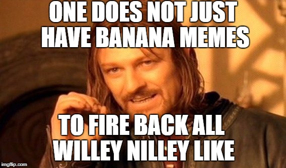 One Does Not Simply Meme | ONE DOES NOT JUST HAVE BANANA MEMES TO FIRE BACK ALL WILLEY NILLEY LIKE | image tagged in memes,one does not simply | made w/ Imgflip meme maker