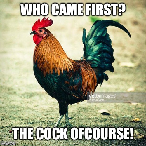 WHO CAME FIRST? THE COCK OFCOURSE! | made w/ Imgflip meme maker