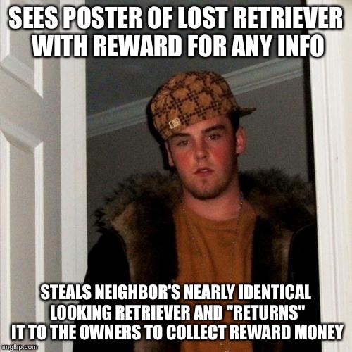 Scumbag Steve Meme | SEES POSTER OF LOST RETRIEVER WITH REWARD FOR ANY INFO; STEALS NEIGHBOR'S NEARLY IDENTICAL LOOKING RETRIEVER AND "RETURNS" IT TO THE OWNERS TO COLLECT REWARD MONEY | image tagged in memes,scumbag steve | made w/ Imgflip meme maker