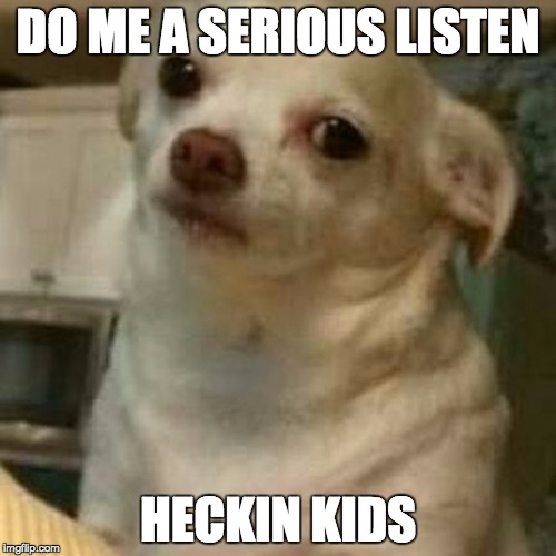 Disappointed Doggo | DO ME A SERIOUS LISTEN; HECKIN KIDS | image tagged in disappointed doggo | made w/ Imgflip meme maker