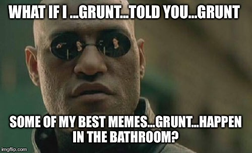 HONEY....Can you hand me some toilet paper?  | WHAT IF I ...GRUNT...TOLD YOU...GRUNT; SOME OF MY BEST MEMES...GRUNT...HAPPEN IN THE BATHROOM? | image tagged in memes,matrix morpheus,lynch1979 | made w/ Imgflip meme maker