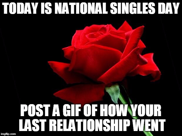 rose | TODAY IS NATIONAL SINGLES DAY; POST A GIF OF HOW YOUR LAST RELATIONSHIP WENT | image tagged in rose | made w/ Imgflip meme maker