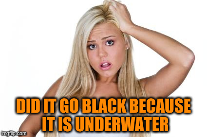 DID IT GO BLACK BECAUSE IT IS UNDERWATER | made w/ Imgflip meme maker