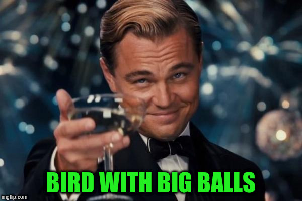 Leonardo Dicaprio Cheers Meme | BIRD WITH BIG BALLS | image tagged in memes,leonardo dicaprio cheers | made w/ Imgflip meme maker