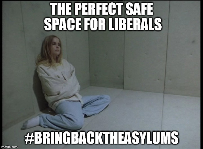The Perfect Safe Space for Liberals | THE PERFECT SAFE SPACE FOR LIBERALS; #BRINGBACKTHEASYLUMS | image tagged in liberals safe spaces mental asylum | made w/ Imgflip meme maker