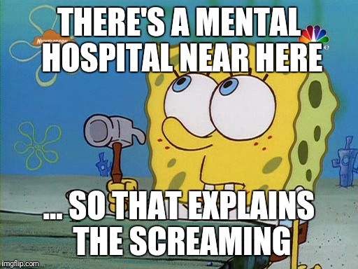 THERE'S A MENTAL HOSPITAL NEAR HERE ... SO THAT EXPLAINS THE SCREAMING | made w/ Imgflip meme maker