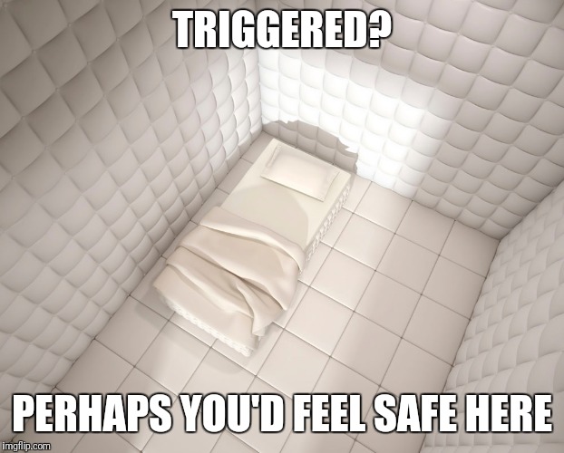 Triggered? | TRIGGERED? PERHAPS YOU'D FEEL SAFE HERE | image tagged in triggered liberal | made w/ Imgflip meme maker