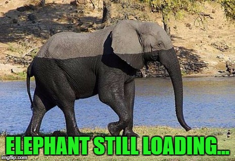 ELEPHANT STILL LOADING... | made w/ Imgflip meme maker