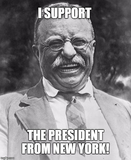 Teddy Roosevelt | I SUPPORT; THE PRESIDENT FROM NEW YORK! | image tagged in teddy roosevelt | made w/ Imgflip meme maker