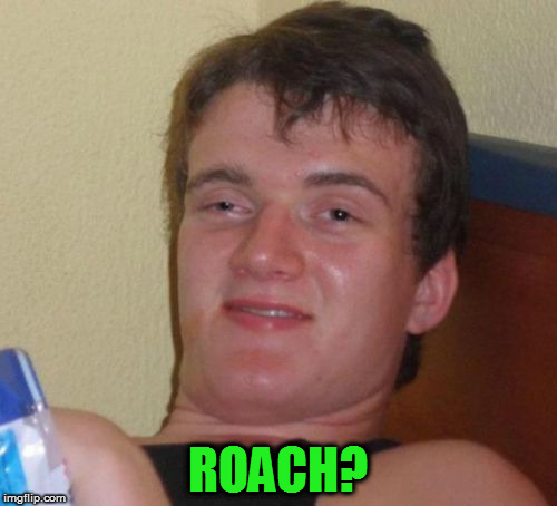 10 Guy Meme | ROACH? | image tagged in memes,10 guy | made w/ Imgflip meme maker