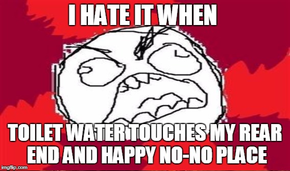 I HATE IT WHEN TOILET WATER TOUCHES MY REAR END AND HAPPY NO-NO PLACE | made w/ Imgflip meme maker