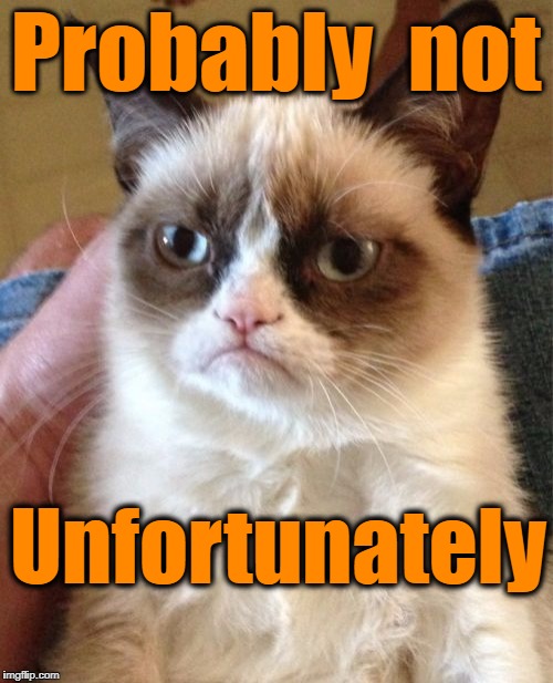 Grumpy Cat Meme | Probably  not Unfortunately | image tagged in memes,grumpy cat | made w/ Imgflip meme maker