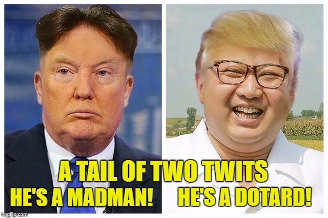 A TAIL OF TWO TWITS; HE'S A DOTARD! HE'S A MADMAN! | image tagged in don  kim | made w/ Imgflip meme maker