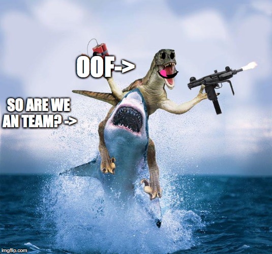 Raptor Riding Shark |  OOF->; SO ARE WE AN TEAM? -> | image tagged in raptor riding shark | made w/ Imgflip meme maker