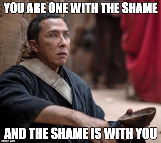 One with the shame. | YOU ARE ONE WITH THE SHAME; AND THE SHAME IS WITH YOU | image tagged in hopelesschirrut,chirrut,rouge one,star wars | made w/ Imgflip meme maker