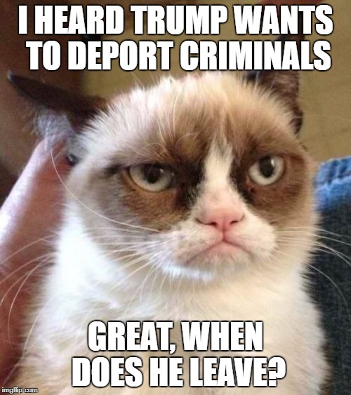 Grumpy Cat Reverse Meme | I HEARD TRUMP WANTS TO DEPORT CRIMINALS; GREAT, WHEN DOES HE LEAVE? | image tagged in memes,grumpy cat reverse,grumpy cat | made w/ Imgflip meme maker