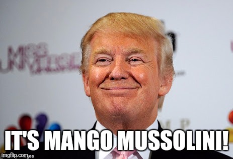 Donald trump approves | IT'S MANGO MUSSOLINI! | image tagged in donald trump approves | made w/ Imgflip meme maker