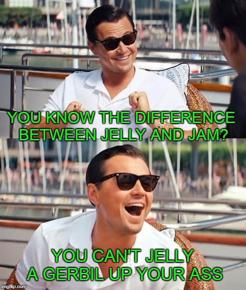 Jelly would help though. | YOU KNOW THE DIFFERENCE BETWEEN JELLY AND JAM? YOU CAN'T JELLY A GERBIL UP YOUR ASS | image tagged in memes,leonardo dicaprio wolf of wall street | made w/ Imgflip meme maker