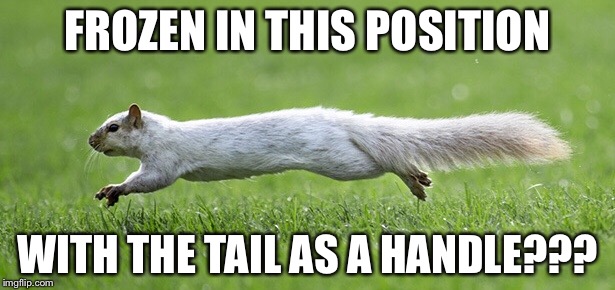 FROZEN IN THIS POSITION WITH THE TAIL AS A HANDLE??? | made w/ Imgflip meme maker