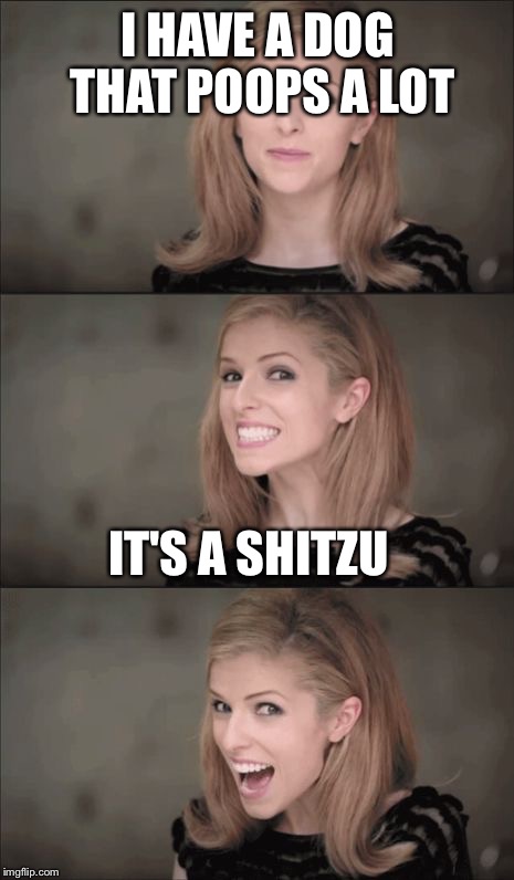 Bad Pun Anna Kendrick |  I HAVE A DOG THAT POOPS A LOT; IT'S A SHITZU | image tagged in memes,bad pun anna kendrick | made w/ Imgflip meme maker