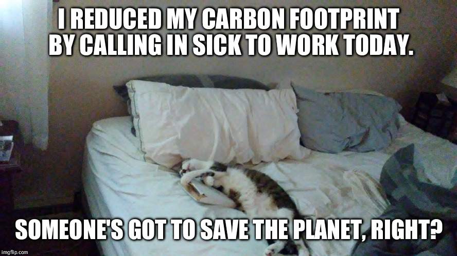 Rocky, cat champion of the universe, saves planet earth. | I REDUCED MY CARBON FOOTPRINT BY CALLING IN SICK TO WORK TODAY. SOMEONE'S GOT TO SAVE THE PLANET, RIGHT? | image tagged in green,rocky,cat,calling in sick,funny,lazy cat | made w/ Imgflip meme maker