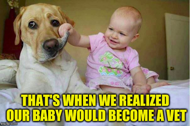 Oh, there's our K9's canines | THAT'S WHEN WE REALIZED OUR BABY WOULD BECOME A VET | image tagged in memes,dogs,babies | made w/ Imgflip meme maker