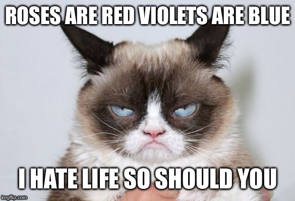 ROSES ARE RED VIOLETS ARE BLUE; I HATE LIFE SO SHOULD YOU | image tagged in grumpy cat,cats,life sucks | made w/ Imgflip meme maker