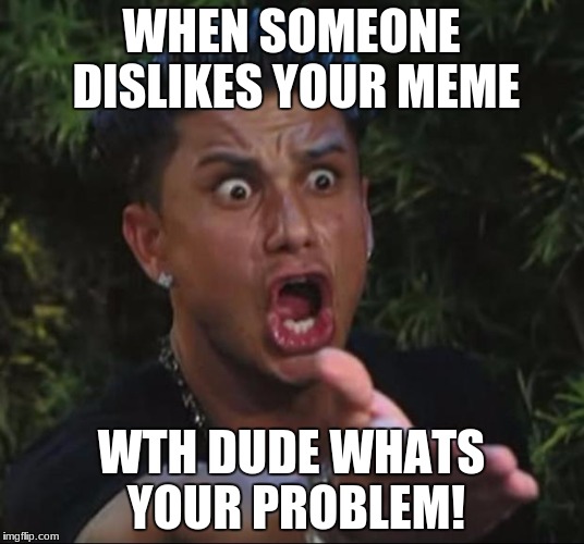 DJ Pauly D Meme | WHEN SOMEONE DISLIKES YOUR MEME; WTH DUDE WHATS YOUR PROBLEM! | image tagged in memes,dj pauly d | made w/ Imgflip meme maker