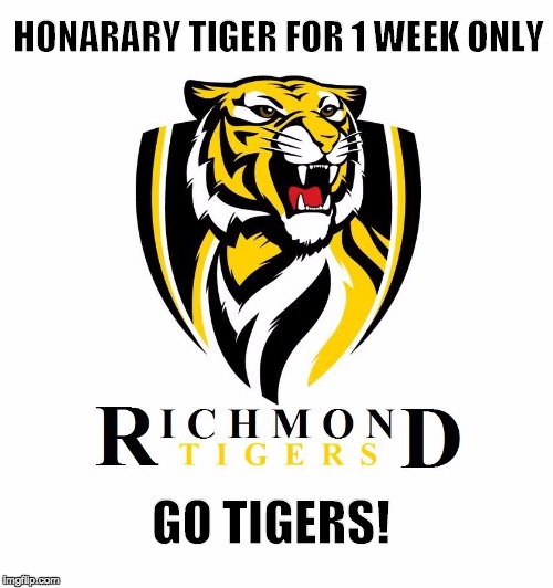 HONARARY TIGER FOR 1 WEEK ONLY; GO TIGERS! | image tagged in richmond tigers 2017 | made w/ Imgflip meme maker
