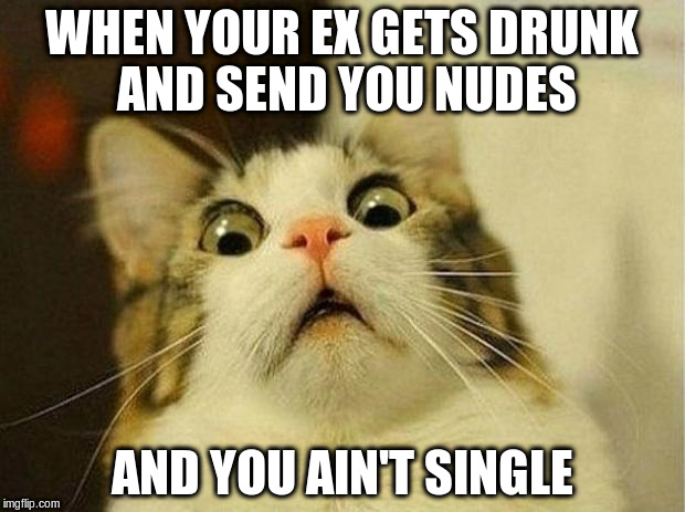 surprised cat | WHEN YOUR EX GETS DRUNK AND SEND YOU NUDES; AND YOU AIN'T SINGLE | image tagged in surprised cat | made w/ Imgflip meme maker