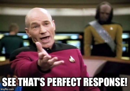 Picard Wtf Meme | SEE THAT'S PERFECT RESPONSE! | image tagged in memes,picard wtf | made w/ Imgflip meme maker